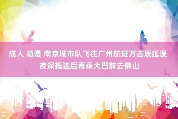 成人 动漫 南京城市队飞往广州航班万古辰延误 夜深抵达后再乘大巴前去佛山
