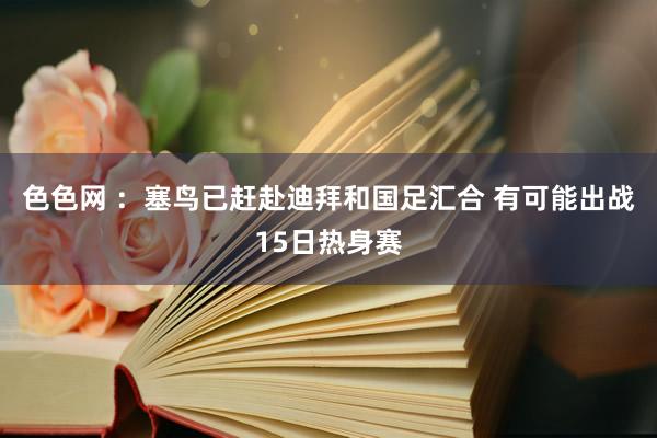 色色网 ：塞鸟已赶赴迪拜和国足汇合 有可能出战15日热身赛