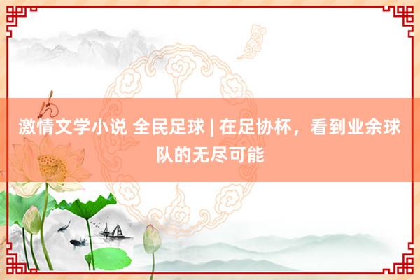 激情文学小说 全民足球 | 在足协杯，看到业余球队的无尽可能