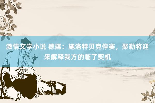 激情文学小说 德媒：施洛特贝克停赛，聚勒将迎来解释我方的临了契机