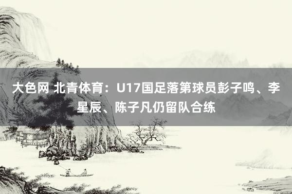 大色网 北青体育：U17国足落第球员彭子鸣、李星辰、陈子凡仍留队合练
